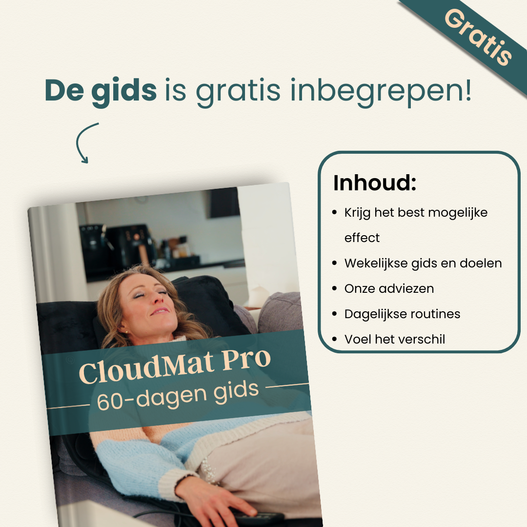 #lang-nl