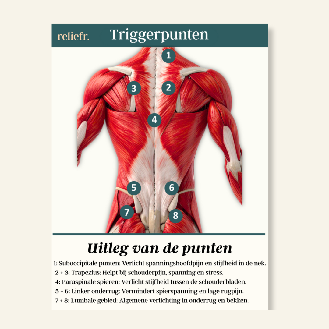#lang-nl