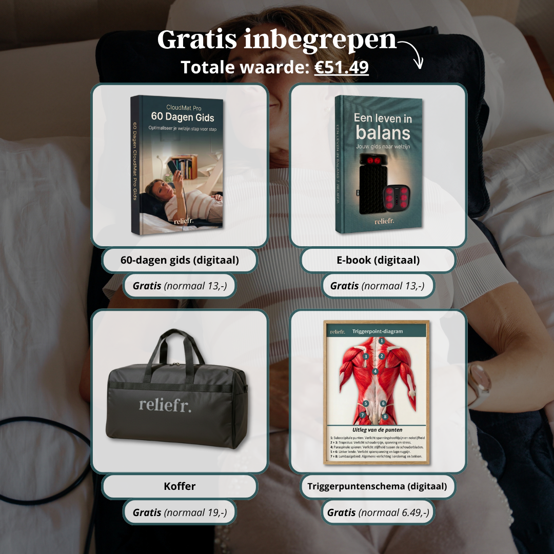 #lang-nl