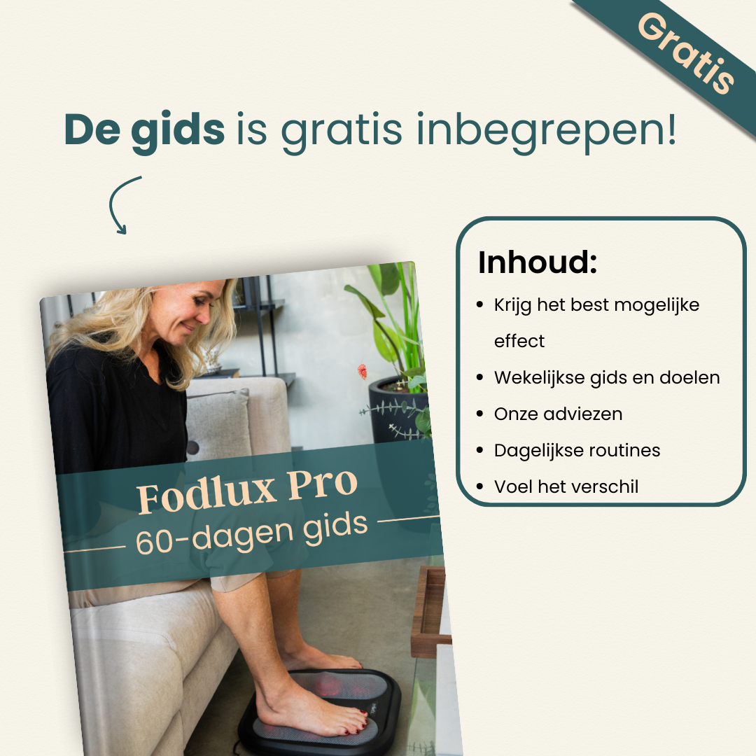 #lang-nl